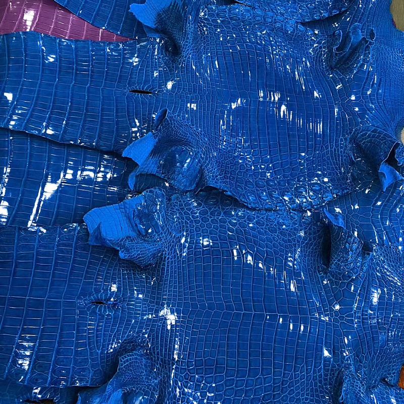 Blue Crocodile Skin