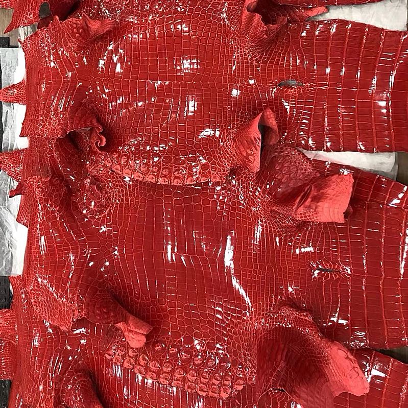 Red Crocodile Skin