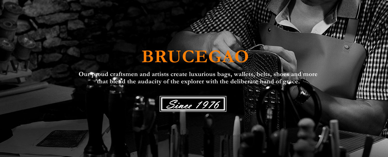 BRUCEGAO's Luxury Bags