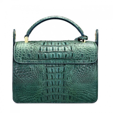 Timeless Crocodile Leather Handbag-Back