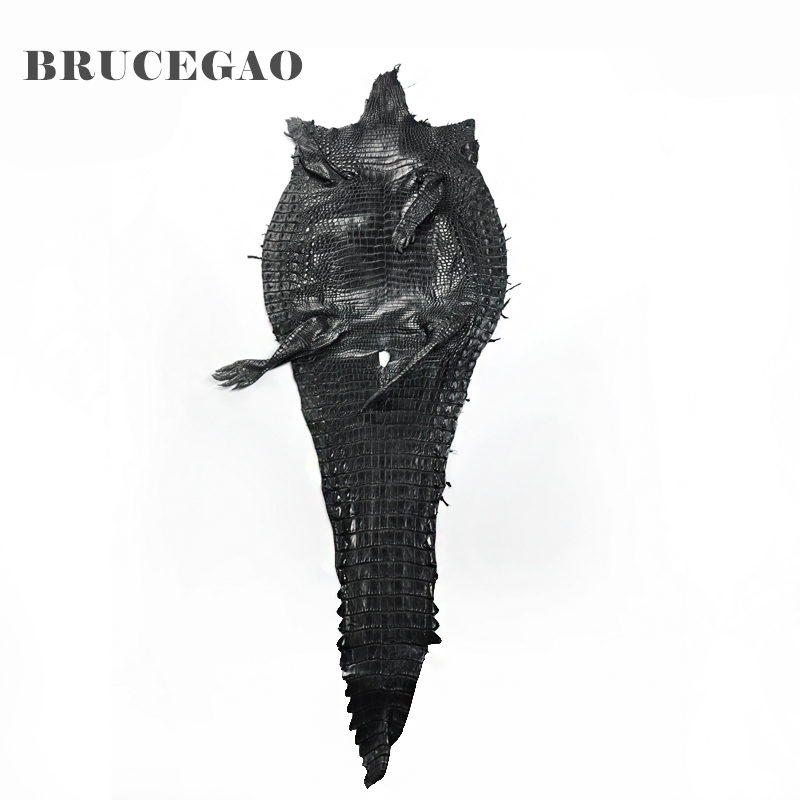 Alligator Skin-BRUCEGAO