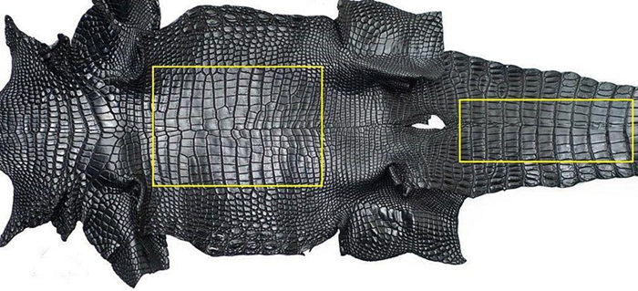 Black Crocodile Leather