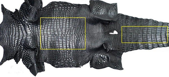 crocodile skin cost