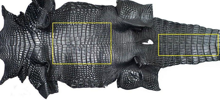 Alligator Skin