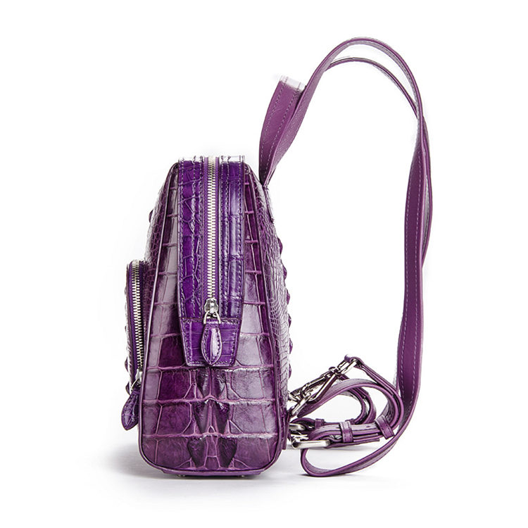 COOLCY Women Small Genuine Leather Backpack Purse Crocodile Designer Bag  (Purple)