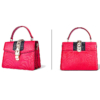 Fashion Designer Lizard Handbag-Red-Exhibition