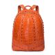 Crocodile Backpack, Fashion Crocodile Cycling Backpack