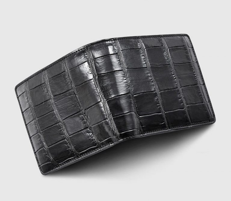 Essential Wallet in Astro Alligator