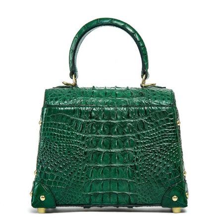 Designer Crocodile Handbags Crossbody Bags-Back