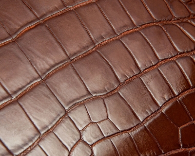 Luxury Alligator Business Bag, Alligator Leather Briefcase for Men