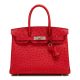 Classic Padlock Genuine Ostrich Skin Top Handle Handbags-Red