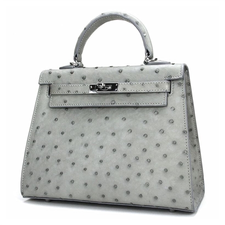 Designer Padlock Ostrich Leather Satchel Purse Crossbody Bag Handbag-Gray-Front