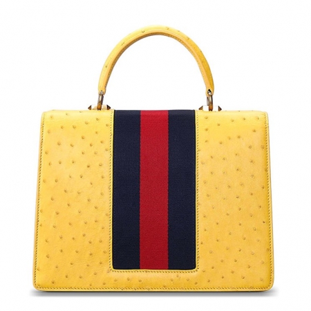Luxury Genuine Ostrich Leather Handbag Crossbody Bag-Back