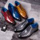 Alligator and Crocodile Skin Shoes-maintain