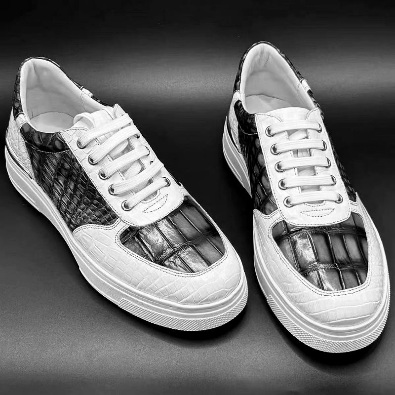 Alligator Shoes Alligator Sneakers for Men