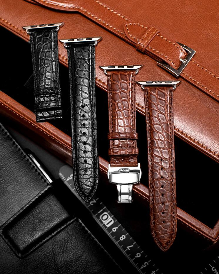 BRUCEGAO’s Luxury Apple Watch Bands Straps