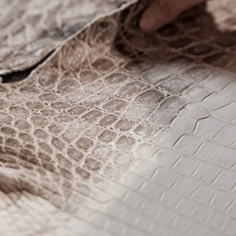 Crocodile Leather Handbags Shoulder Purses Bags - Glacial White Nile Crocodile