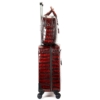 Genuine Alligator Leather 2-piece Spinner Luggage Set-Side
