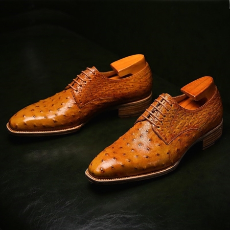 Formal Ostrich Derby Shoes for Men