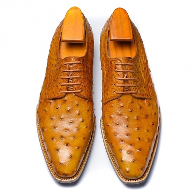 Ostrich Skin Derby Shoes-Upper