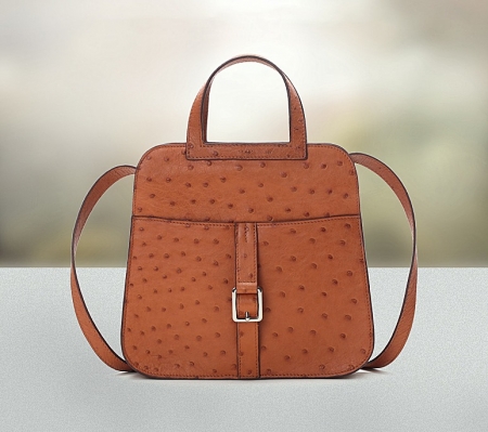 Designer Ostrich Skin Handbag Shoulder Bag for Women-1