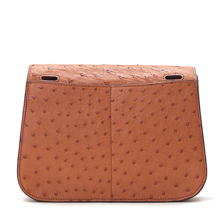 Designer Ostrich Skin Handbag Shoulder Bag for Women-Back