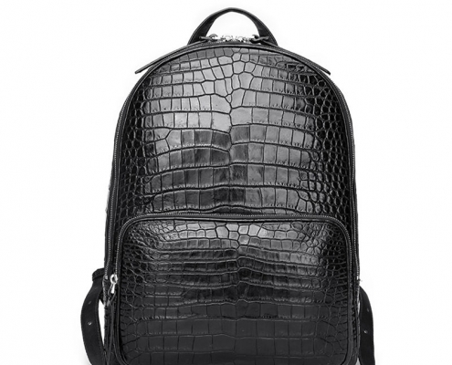 Alligator Skin School Backpack