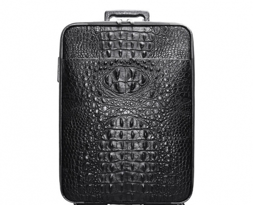 Crocodile Luggage with Spinner Wheels