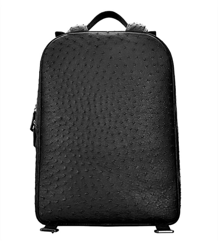 Ostrich Backpack-Back
