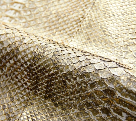 Snakeskin Jackets Python Skin Coats for Men-Golden-Details