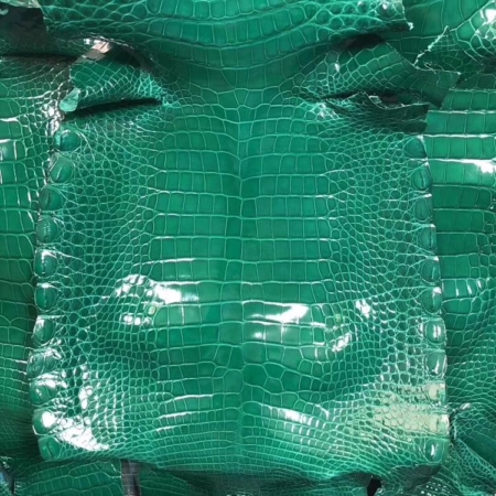 Alligator Skin-Green