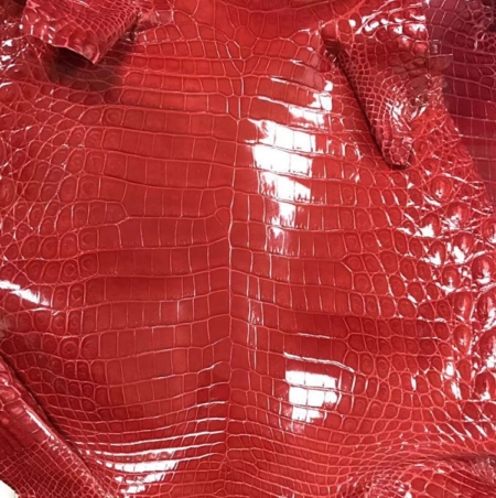 Alligator Skin-Red