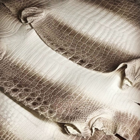 Alligator Skin-White