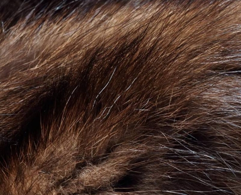 Mink Fur