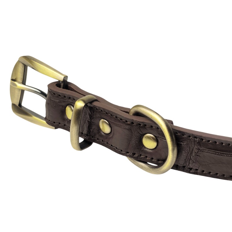 Crocodile & Alligator Leather Dog Collars - Buckle
