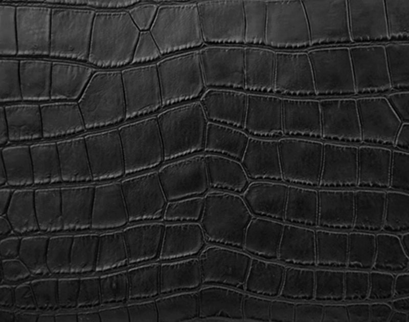 Stylish Alligator Laptop Bags Sleeves for 13–16 Inch Laptops - Genuine Alligator Skin